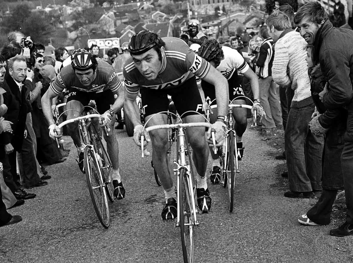 Vorne Eddy Merckx (Belgien) mit links Roger de Vlaeminck und rechts Freddy Maertens 1977