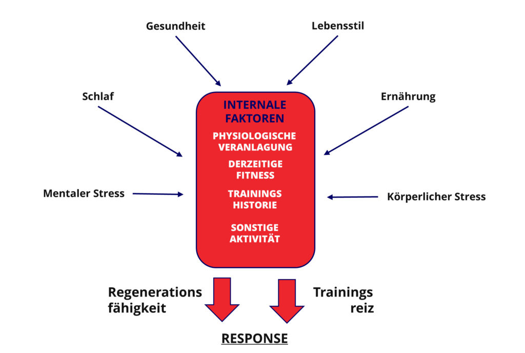 Faktoren