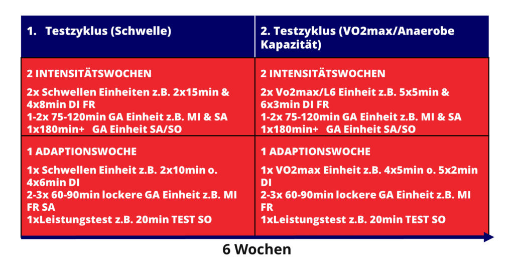 Testzyklen