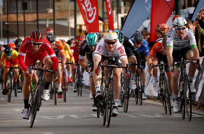 ROT_GREIPEL_MA260117149