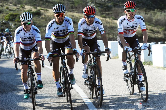 sagan_trikot