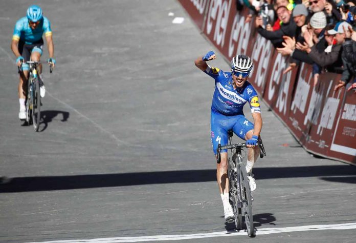 ROT_ALAPHILIPPE_SB19038
