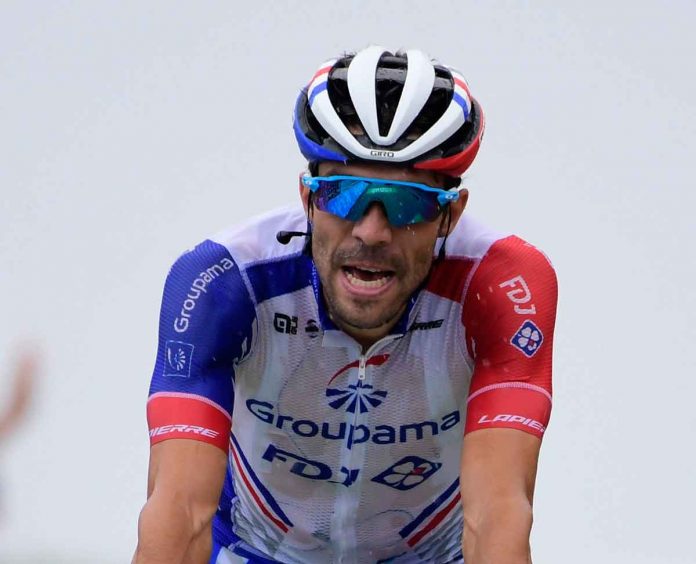 ROT_PINOT_TDF21071935