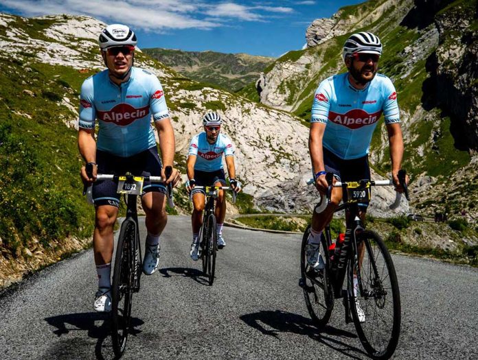 TeamAlpecin