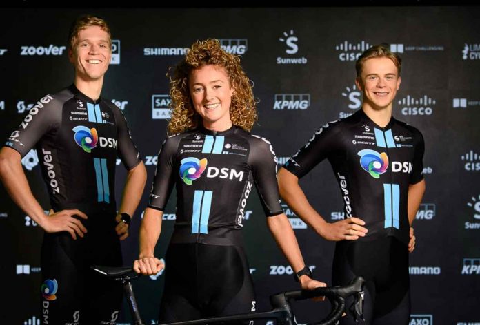 TeamDSM