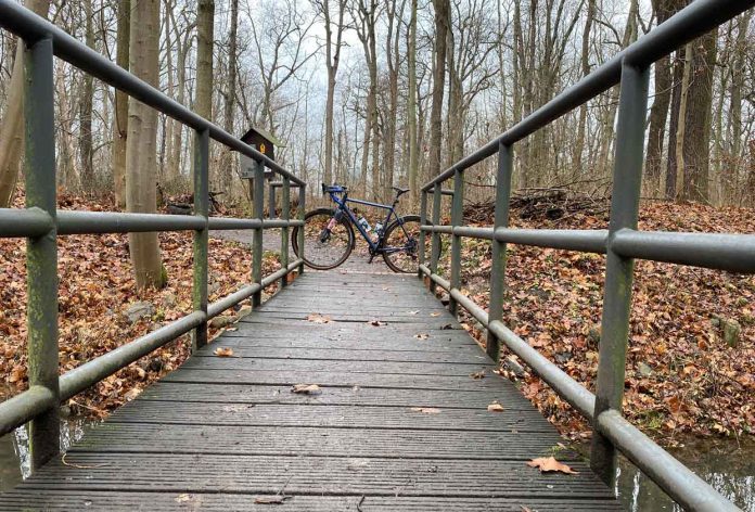 Festive5000