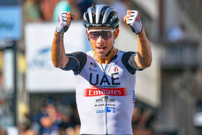 ROT_FORMOLO_CAG23111